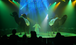 Circus Bossle Kameel