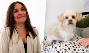 DEKBED VOOR HONDEN AFBEELDING