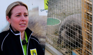 DIERENOPVANGCENTRUM NOORDBROEK ALMELO AFBEELDING