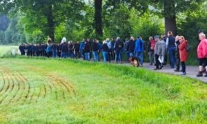 Dauwtrappen onderweg