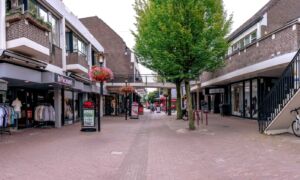 De Brink Losser
