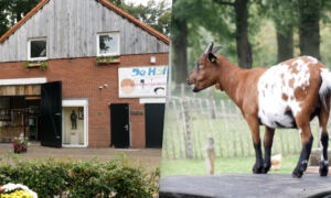 De Hofte Oldenzaal 02102024