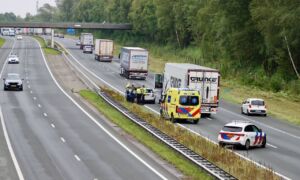 De Lutte 20250901 02