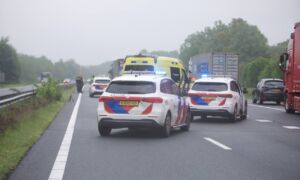 De Lutte 20260505