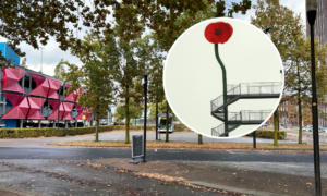 De nieuwe plek van de klaproos