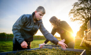 ESKERWIJN LANGEVEEN,Eigenaar Jorieke