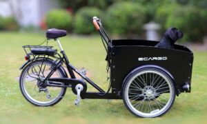 Elektrische bakfiets pixabay