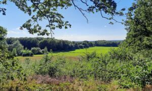 Focus op leefbaarheid coulissenlandschap