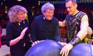 Foto voelplein Haarlem circus 2022 12 28 153640 vxjg