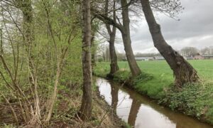 Geestersche Molenbeek Vechtstromen