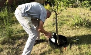 Glindebos educatie
