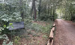 Grafheuvel De Thij