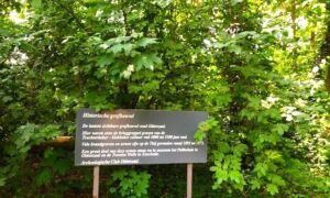 Grafheuvel infobord
