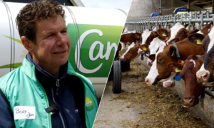 Familie Haamberg Tiligte