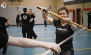 Halfzwaard Seminar screenshot 2 Koen Francken