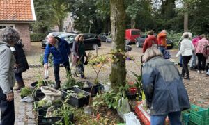 Hoofdfoto Najaarsplantenruil