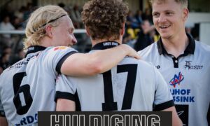 Huldiging SVZW