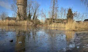 IMG 6558 watertorenpark bevroren vijver ijs foto hgv hengelo