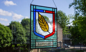 LOSSER Schatkamerpluym