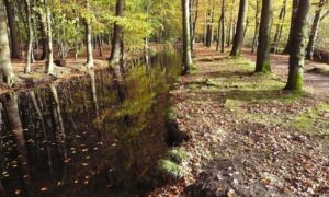 Landgoederen Oldenzaal