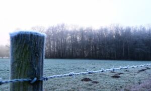 Losser beijzeld buitengebied