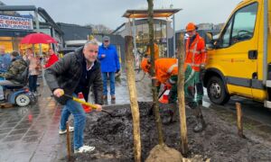 Marc Teutelink plant boom in Enschedees winkelcentrum Zuid