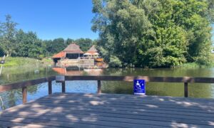 Mindervalidensteiger De Lee Enter Zumpke