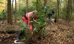 Natuurwerkdag op Christinalust RTV Oost