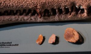 Neanderthalergereedschap Ernst Bergboer