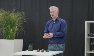 One Third Thumbnail Foto 2022 03 04 113911 qgga