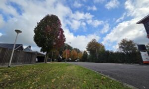 Ontsluitingsweg luttermolenveld