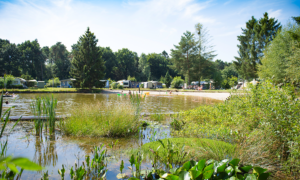 Ostana naturistencamping enschede wint blootkompas award