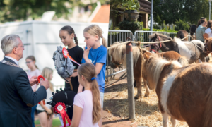 PAARDENMARKT ENTER 20250807