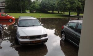 Parkeerplaatsen onder water aan de Weusthagstraat in Hengelo Foto RTV Oost