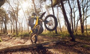 Radian Elektrische enduromotor