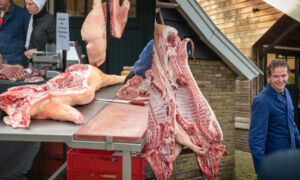 SLACHTVISITE ENTER 20251112