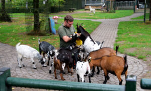 STADSBOERDERIJ BEEKLUST AFBEELDING