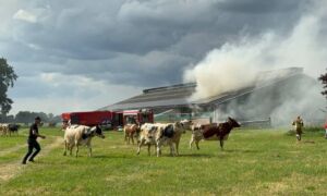 Saasveld 20250830 01