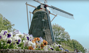 Schermafbeelding 2020 06 08 om 10 48 31