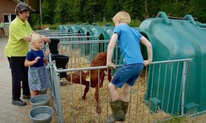 Schermafbeelding 2021 07 13 om 14 42 48