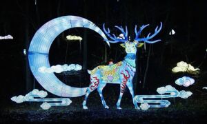 Schermafbeelding 2021 12 11 om 14 00 50