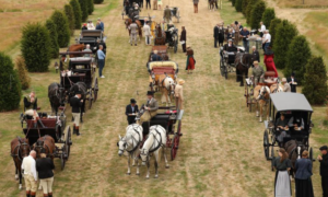 Diverse koetsen platteland