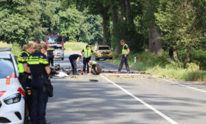 Tilligte 20250826 02