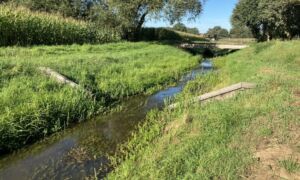 Vechtstromen geelebeek 2 1