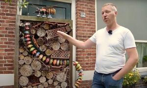 Vincent Hofstede t Helmgras