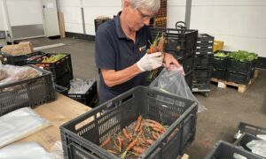 Voedselbank Deventer verpakken biologische wortelen