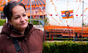 WK VERSIERING VINKENPLEIN AFBEELDING