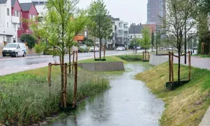 Wadi Oldenzaalsestraat Enschede