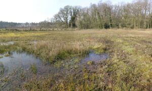 Waterretentie in t Spik Smalenbroek fotograaf Michiel Poolman