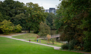 Wesselerbrinkpark vanaf de bult